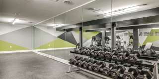 Radius at Ten Mile Gallery 6