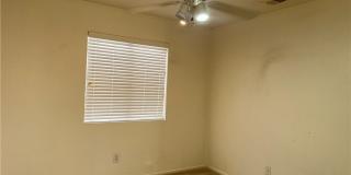 1168 SPEEDY STREAK Avenue Gallery 4