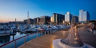 The Banks Gallery 52