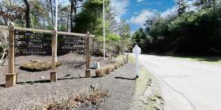 4 Bittersweet Lane Gallery 25