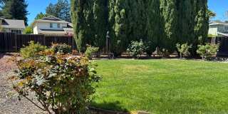 Spacious 4 bed/2.5 bath home in San Ramon Gallery 22