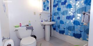 Two and a half (2.5) bedroom - laundry in unit Gallery 5
