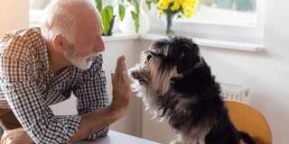 Foster Place Senior Living - Senior Housing Gallery 19