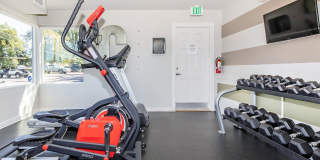 The Centre Apartments Gallery 13