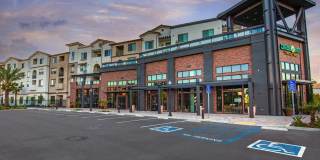 Vineyards Gallery 50