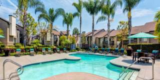 Sofi Laguna Hills Gallery 7