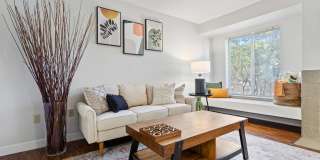 MonteVista Gallery 3