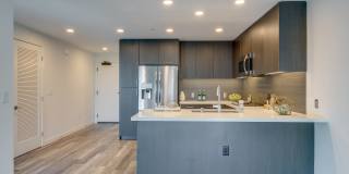 The Merian Gallery 52