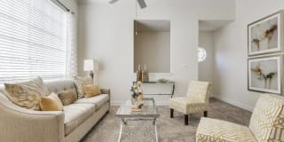 Las Palmas Gallery 39