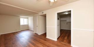 Noah's Landing Gallery 5