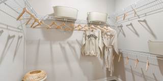 Cobalt Cobalt Gallery 25