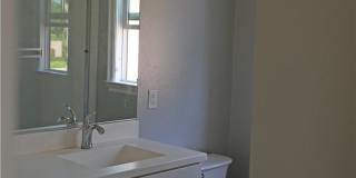 132 Island Coral Gallery 29