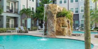 Novus Westshore Gallery 3