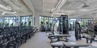 Palomino Park Resort Gallery 34