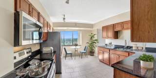 Skyrise Luxury Apartments Gallery 15
