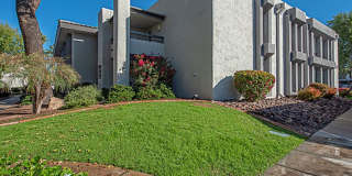 Rates Vary: $2,995 - $4,995 Gallery 17