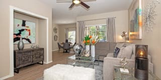 The Falls Round Rock Gallery 38