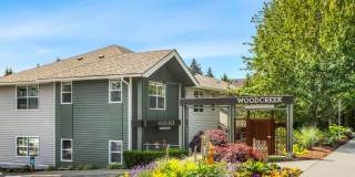 Woodcreek Gallery 5