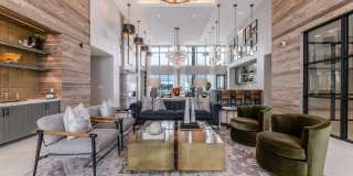 Atlas Crown Gallery 15