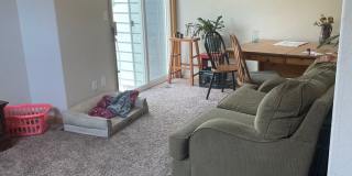 Beautiful 3 Bed, 3 1/2 Bath Townhome in Northwest Fort Collins! Gallery 6