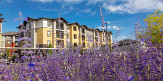 Oquirrh Hills Gallery 9