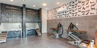 Pearl Springdale Gallery 28