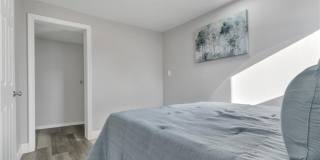 43 Jenkins Street Gallery 11