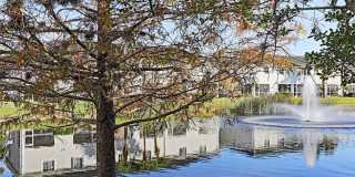 10033 Spyglass Hill Lane Gallery 20