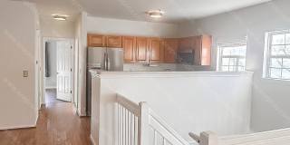 1183 Freesia Ct Gallery 2