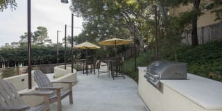 Pacific Vista Gallery 9