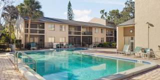 Cozy 2 Bed 1.5 Bathroom in Temple Terrace Gallery 22