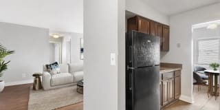 Carolina Village Gallery 26