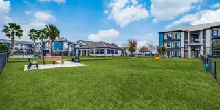 Valor at Harlingen Gallery 2