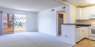 Park West Gallery 6