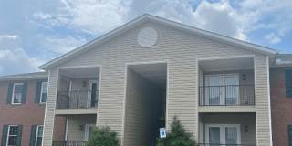 The Trace at 161 Gallery 2