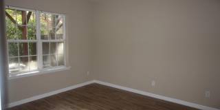 320 Ruby Walk Drive Gallery 3
