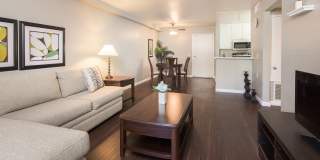 Colonnade Gallery 10