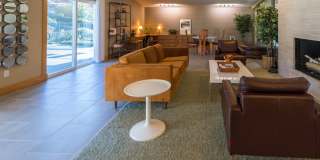 Audubon Square Gallery 12