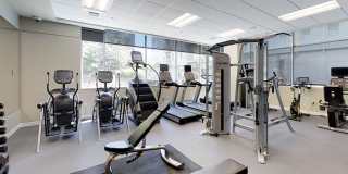 The Matisse Gallery 17