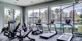 Park Lakes Gallery 43