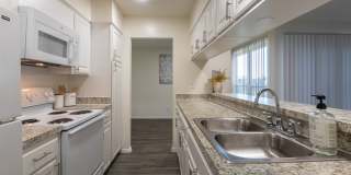 Biltmore Biltmore Gallery 9