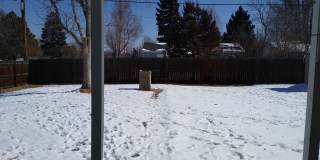 University Hills  Adorable 2 Bed 1 Bath Home with HUGE Fenced Yard, Central Air/Heat, Garage and Storage Shed!! Gallery 59