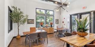 Hollister Village Gallery 23