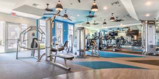 The Peak at Nichols Plaza Gallery 31