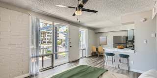 Rise Biltmore Gallery 4