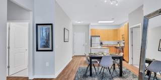 The Cosmopolitan at Reston Town Center Gallery 28