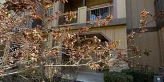 862 W Carving Edge Ct Gallery 1