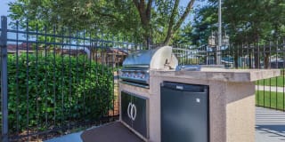 Sussex Downs Gallery 78