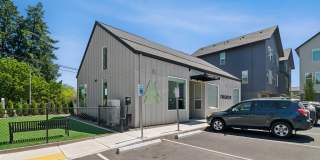 Fir Grove Gallery 31