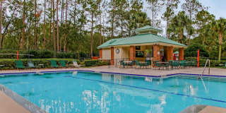 7701 TIMBERLIN PARK Boulevard unit: 1617 Gallery 31